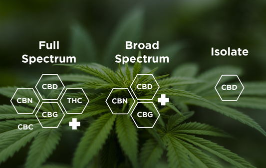 Full-Spectrum, Broad-Spectrum i CBD izolat